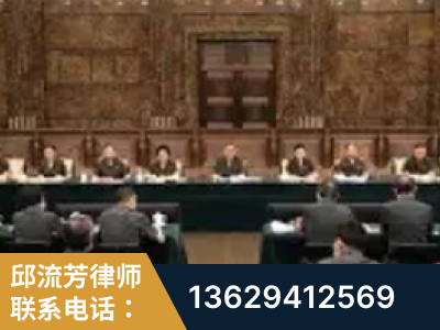 桐城-疑难刑事案件处理